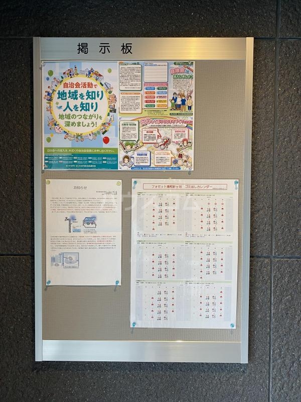 19/29 その他画像