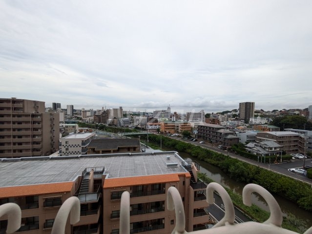 17/25 その他画像