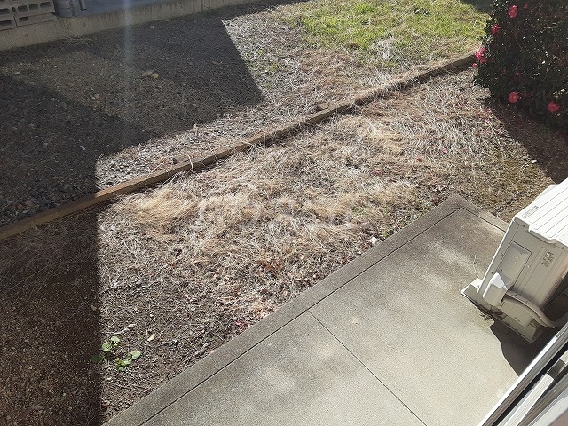 18/23 その他画像