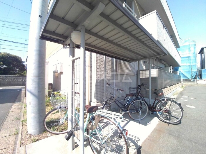 20/30 その他画像