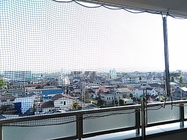 19/30 その他画像