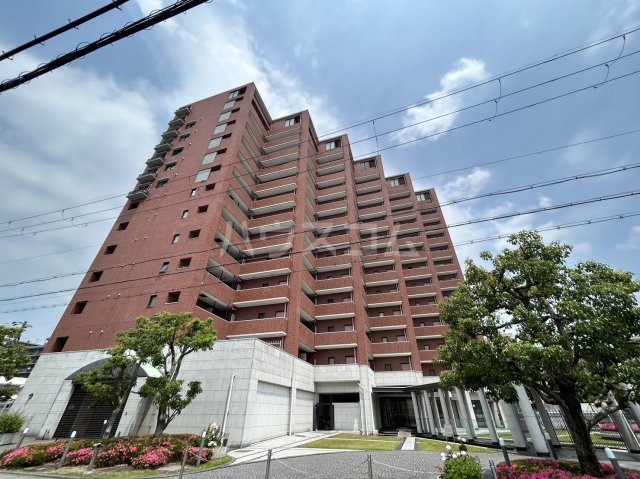 2/29 外観