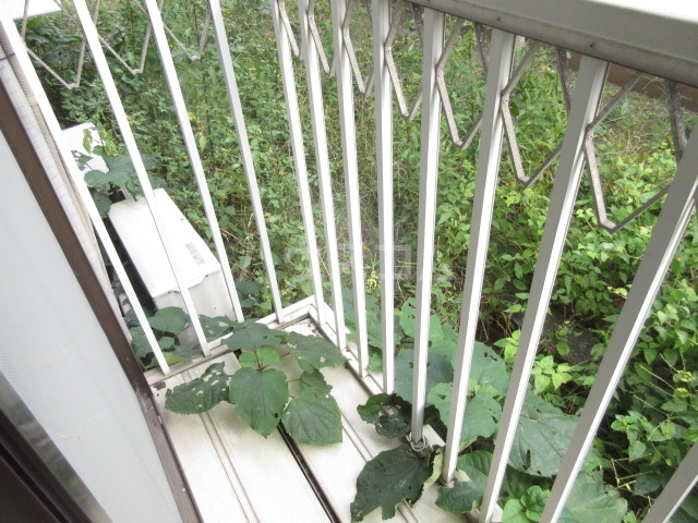 14/23 バルコニー