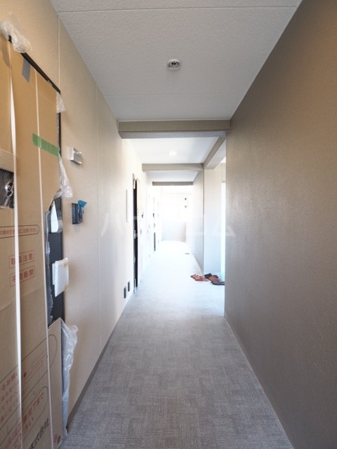 21/29 その他画像