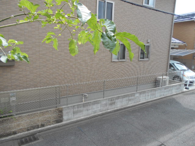 17/30 その他画像