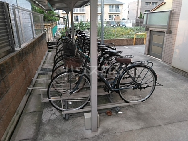 20/30 その他画像