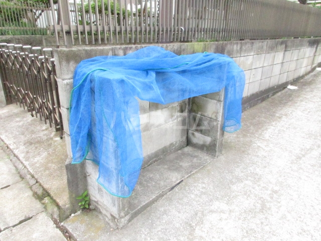 17/21 その他画像