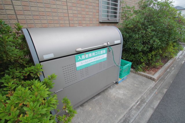 15/19 その他画像