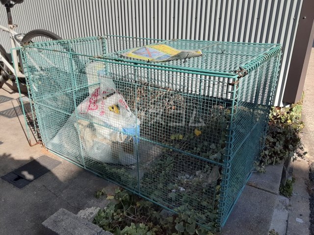 16/22 その他画像