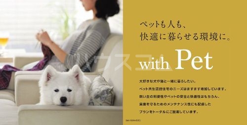 15/25 その他画像