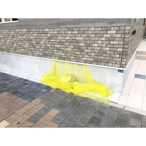 12/20 その他画像