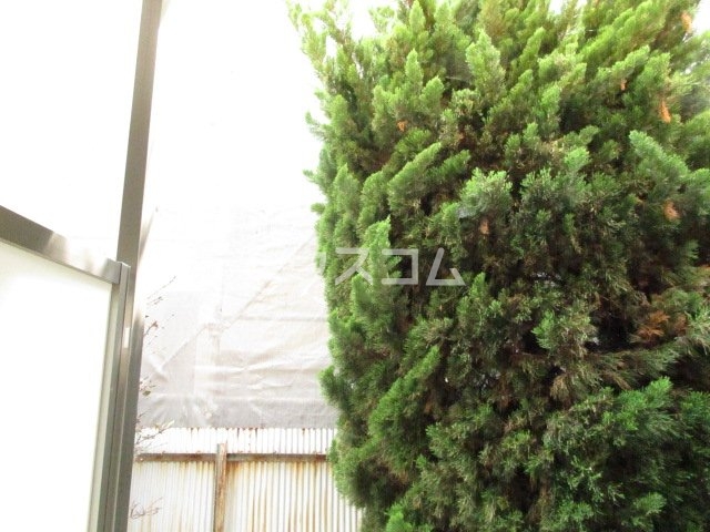 17/30 その他画像