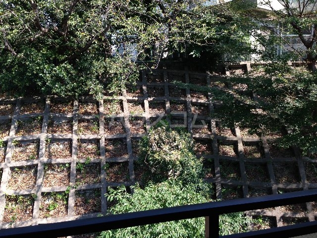 21/25 その他画像