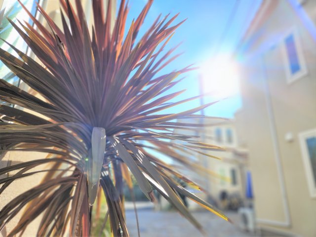 22/30 その他画像