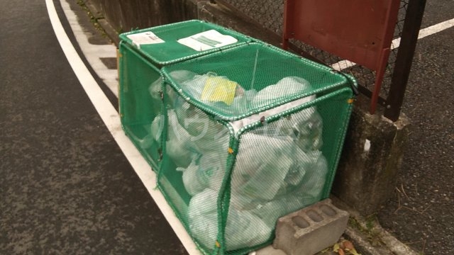 2/13 その他画像