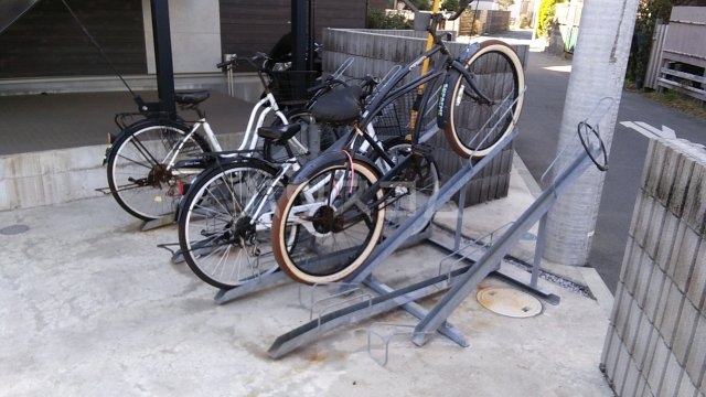 3/14 その他画像