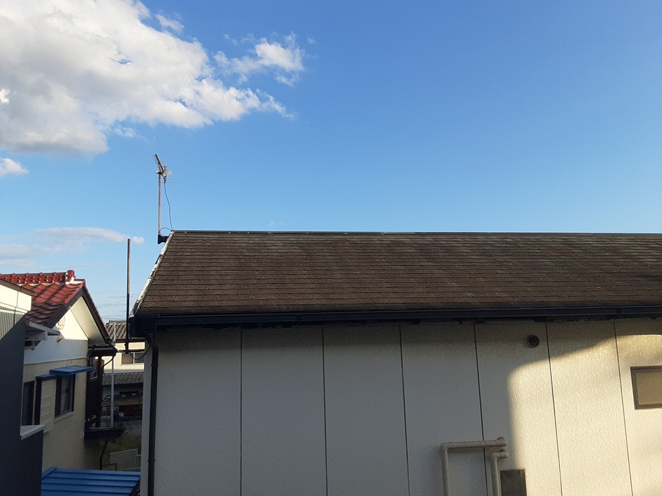 12/19 その他画像