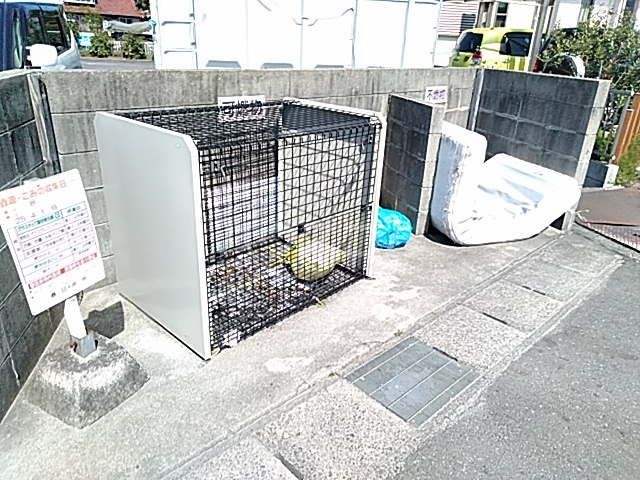 27/30 その他画像