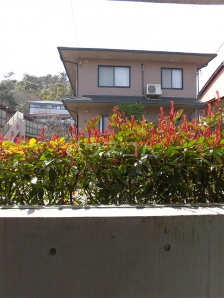 13/24 その他画像