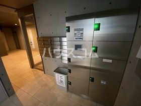 20/30 その他画像