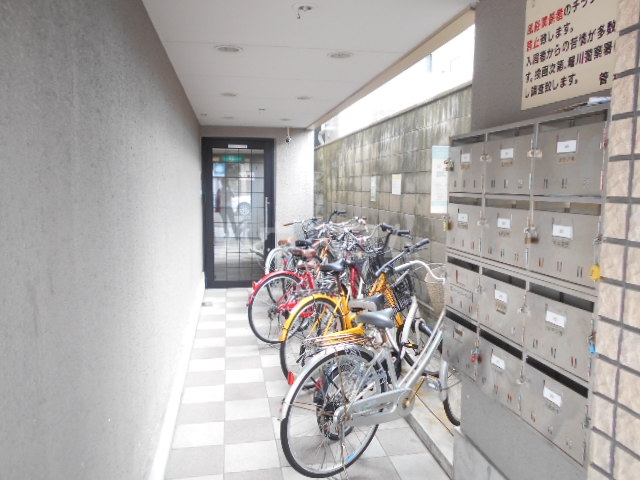 21/29 その他画像