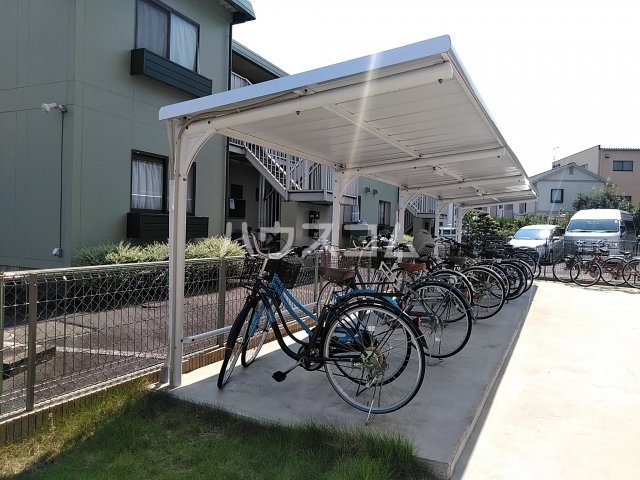 20/30 その他画像