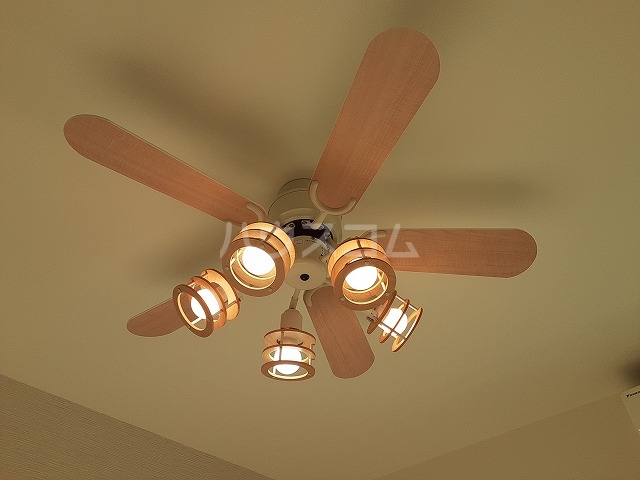 24/28 その他画像