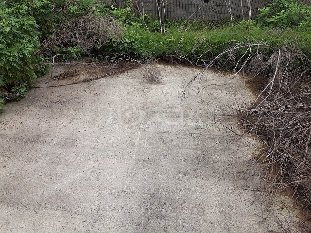 17/25 その他画像