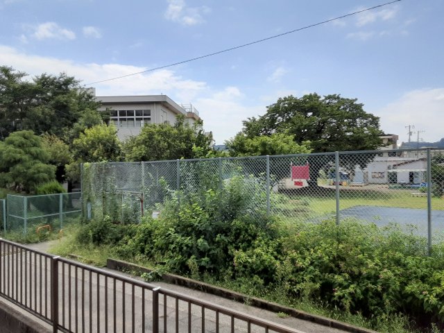 19/24 その他画像