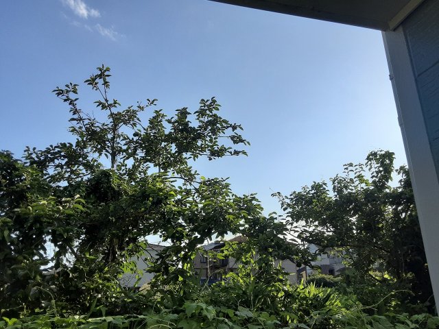 15/30 その他画像