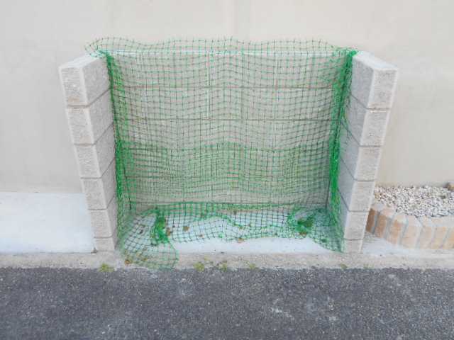 17/22 その他画像