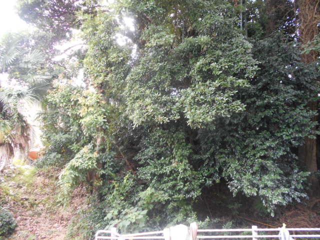 17/28 その他画像