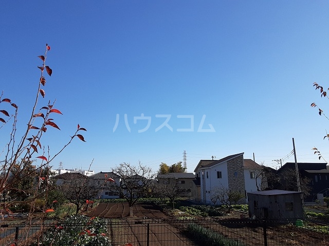 17/29 その他画像