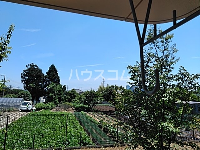 17/29 その他画像