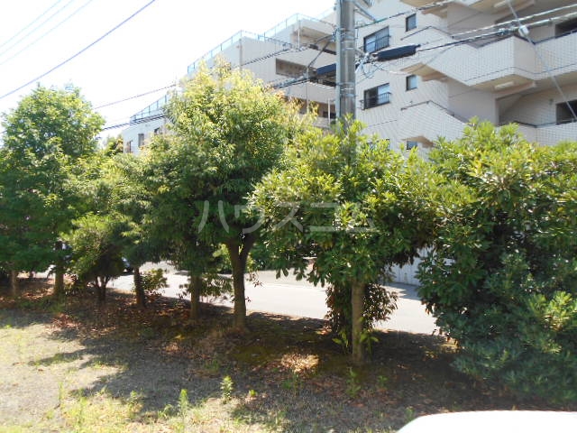 17/29 その他画像