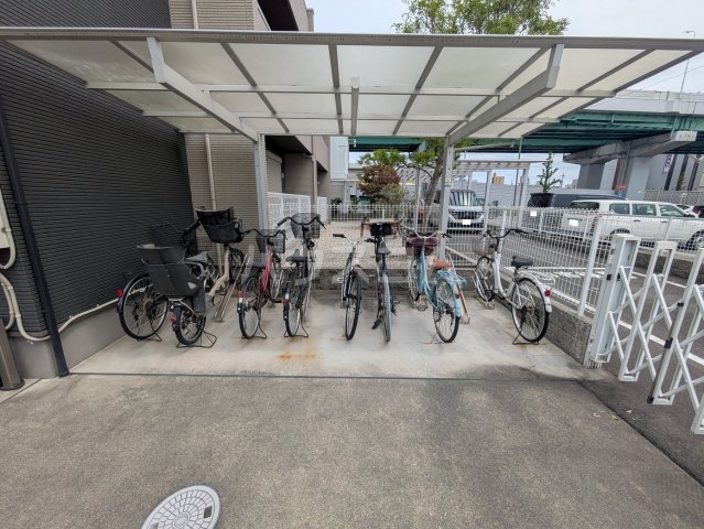 20/30 その他画像