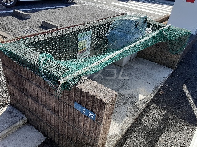 20/30 その他画像