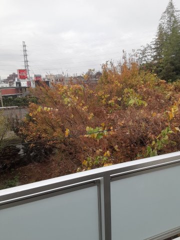 18/30 その他画像