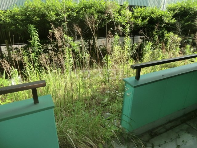 17/29 その他画像