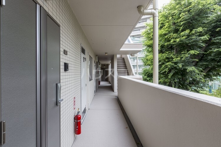 17/24 その他画像