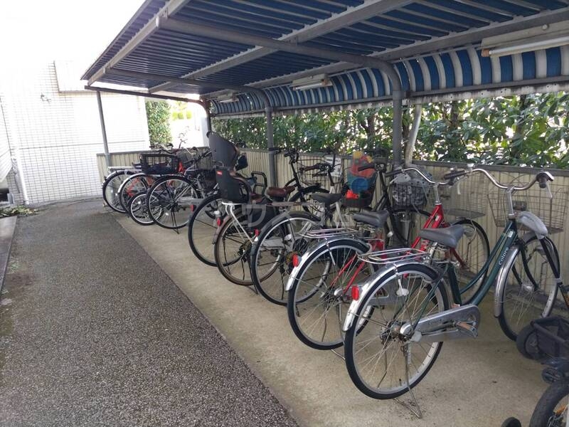 8/20 その他画像