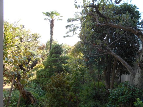 18/29 その他画像