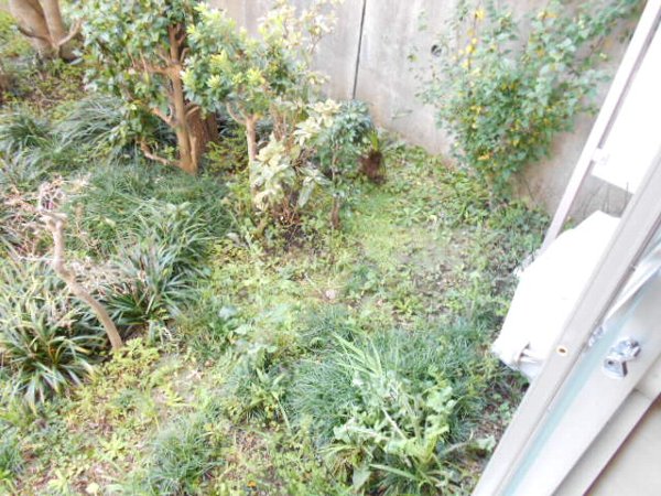 19/29 その他画像