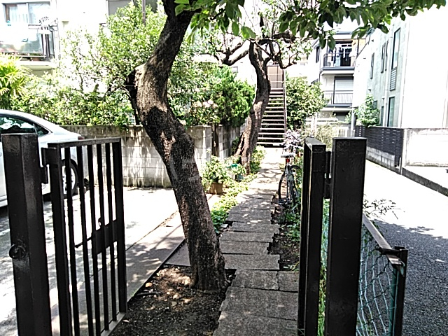 19/25 エントランス