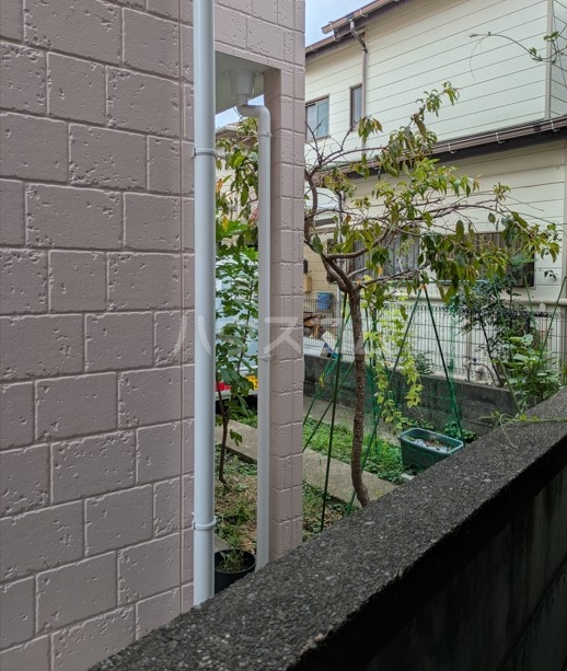 12/19 その他画像