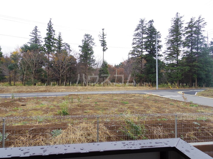 12/19 その他画像