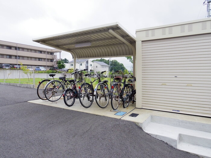 17/25 その他画像