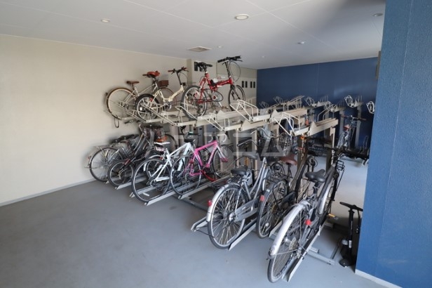 5/17 その他画像