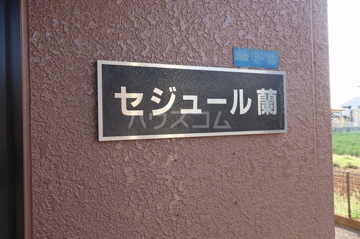 16/21 その他画像