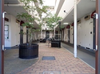 3/13 その他画像